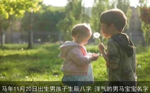 马年11月20日出生男孩子生辰八字 洋气的男马宝宝名字