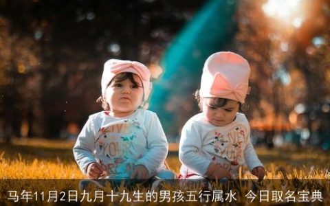 马年11月2日九月十九生的男孩五行属水 今日取名宝典