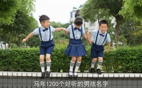 马年1200个好听的男孩名字