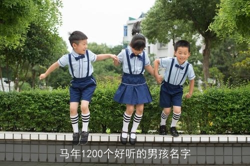 马年1200个好听的男孩名字