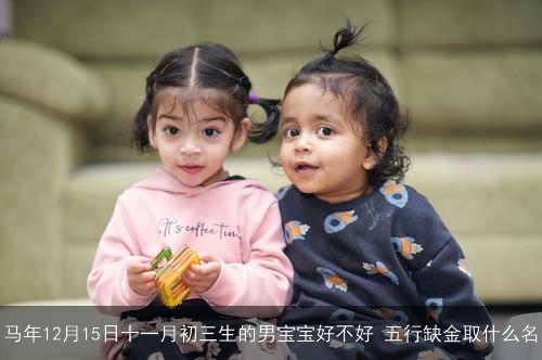 马年12月15日十一月初三生的男宝宝好不好 五行缺金取什么名