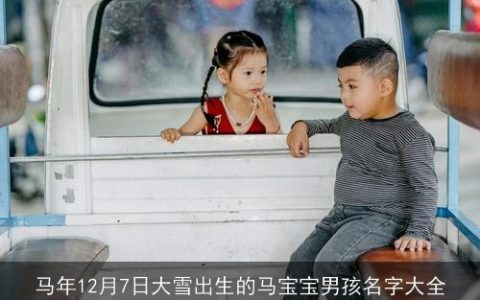马年12月7日大雪出生的马宝宝男孩名字大全