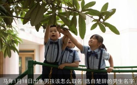 马年1月18日出生男孩该怎么取名 选自楚辞的男生名字