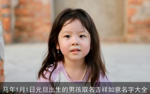 马年1月1日元旦出生的男孩取名吉祥如意名字大全