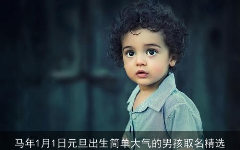 马年1月1日元旦出生简单大气的男孩取名精选