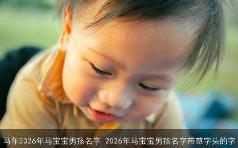 马年2026年马宝宝男孩名字 2026年马宝宝男孩名字带草字头的字