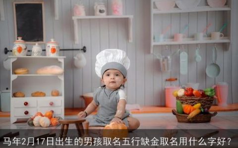 马年2月17日出生的男孩取名五行缺金取名用什么字好？