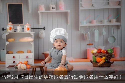马年2月17日出生的男孩取名五行缺金取名用什么字好？