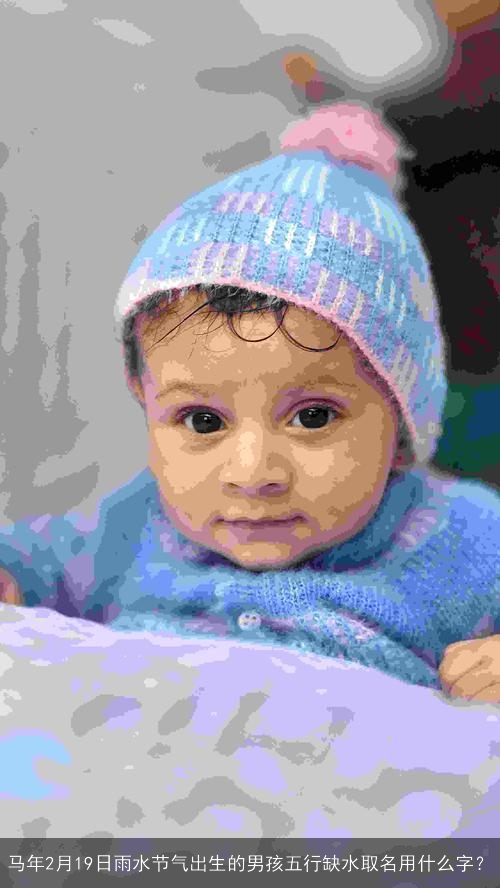 马年2月19日雨水节气出生的男孩五行缺水取名用什么字？