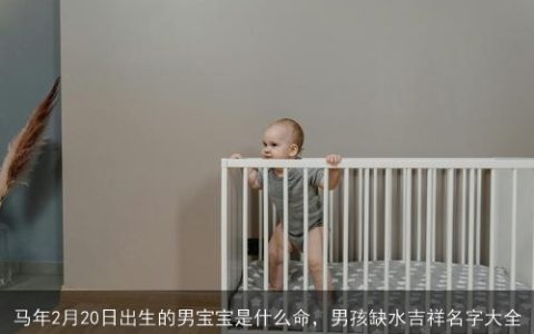 马年2月20日出生的男宝宝是什么命，男孩缺水吉祥名字大全