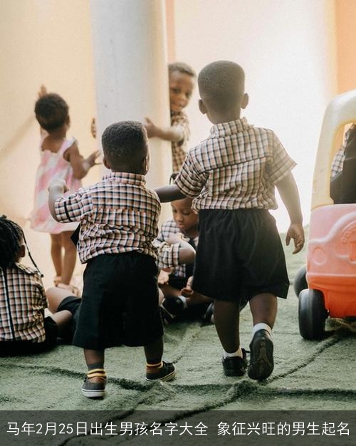 马年2月25日出生男孩名字大全 象征兴旺的男生起名