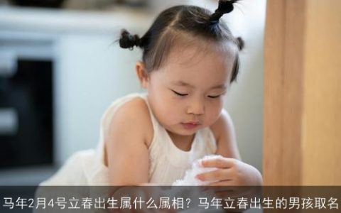 马年2月4号立春出生属什么属相？马年立春出生的男孩取名