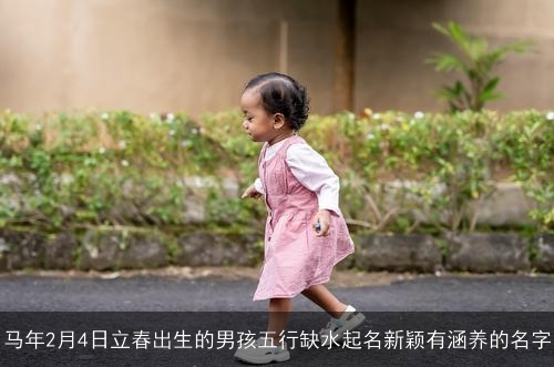 马年2月4日立春出生的男孩五行缺水起名新颖有涵养的名字