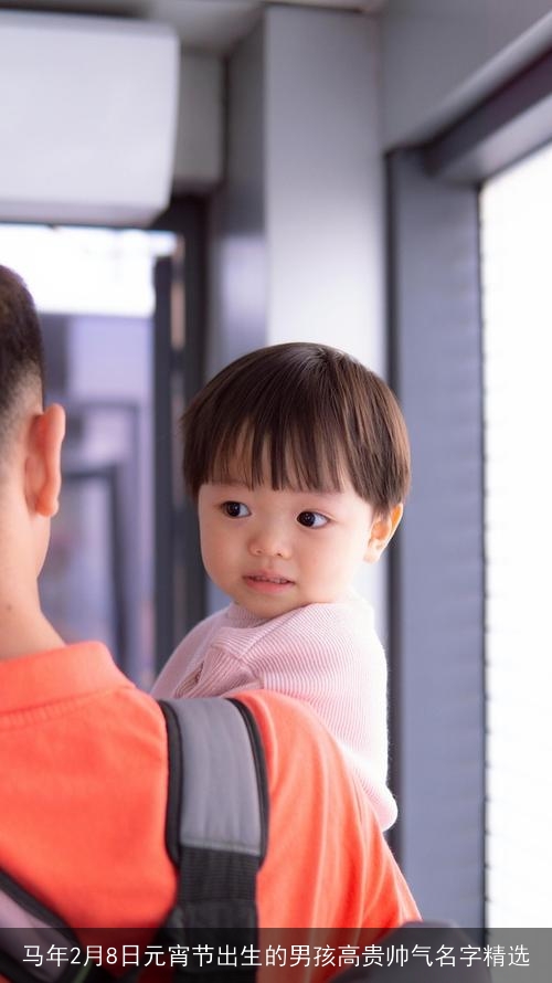 马年2月8日元宵节出生的男孩高贵帅气名字精选