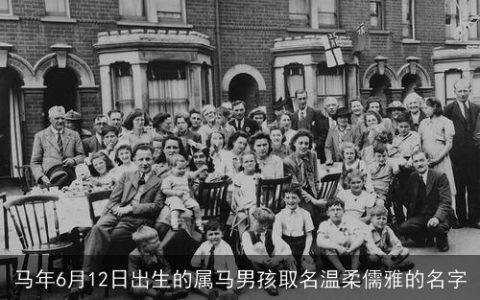 马年6月12日出生的属马男孩取名温柔儒雅的名字