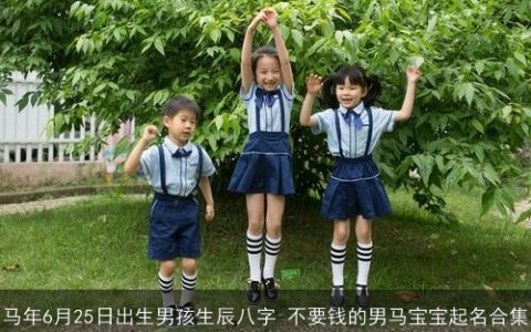 马年6月25日出生男孩生辰八字 不要钱的男马宝宝起名合集
