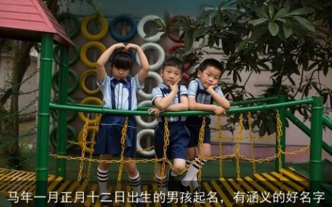 马年一月正月十二日出生的男孩起名，有涵义的好名字