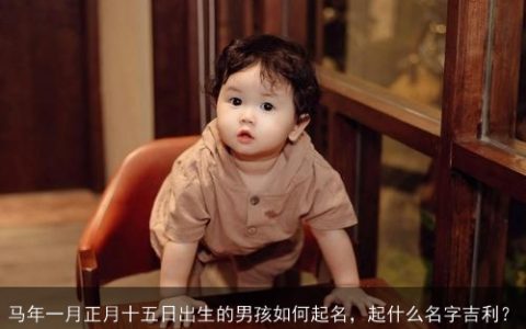 马年一月正月十五日出生的男孩如何起名，起什么名字吉利？