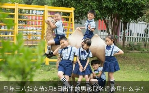 马年三八妇女节3月8日出生的男孩取名适合用什么字？