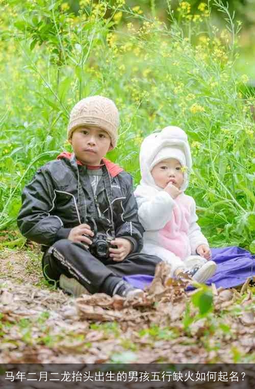 马年二月二龙抬头出生的男孩五行缺火如何起名？