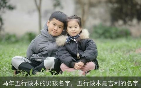 马年五行缺木的男孩名字，五行缺木最吉利的名字