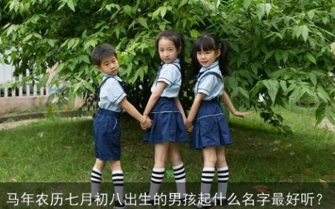 马年农历七月初八出生的男孩起什么名字最好听？