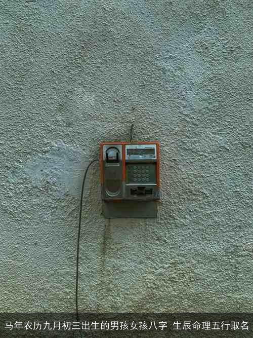 马年农历九月初三出生的男孩女孩八字 生辰命理五行取名