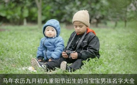 马年农历九月初九重阳节出生的马宝宝男孩名字大全