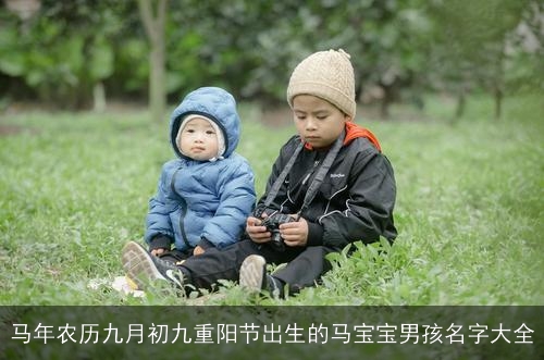 马年农历九月初九重阳节出生的马宝宝男孩名字大全