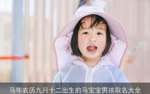 马年农历九月十二出生的马宝宝男孩取名大全