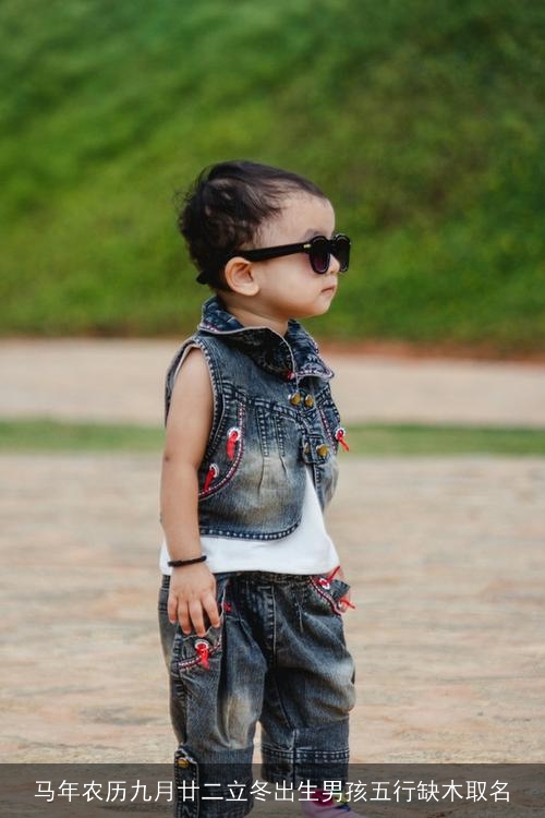 马年农历九月廿二立冬出生男孩五行缺木取名