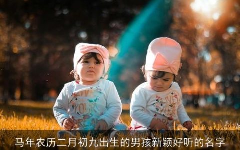 马年农历二月初九出生的男孩新颖好听的名字