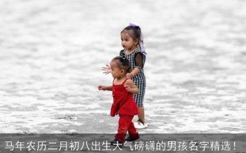 马年农历二月初八出生大气磅礴的男孩名字精选！