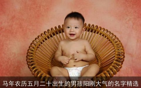 马年农历五月二十出生的男孩阳刚大气的名字精选