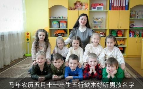 马年农历五月十一出生五行缺木好听男孩名字