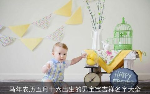 马年农历五月十六出生的男宝宝吉祥名字大全