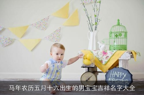 马年农历五月十六出生的男宝宝吉祥名字大全