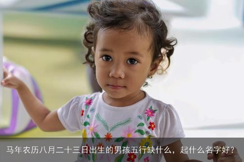 马年农历八月二十三日出生的男孩五行缺什么，起什么名字好？