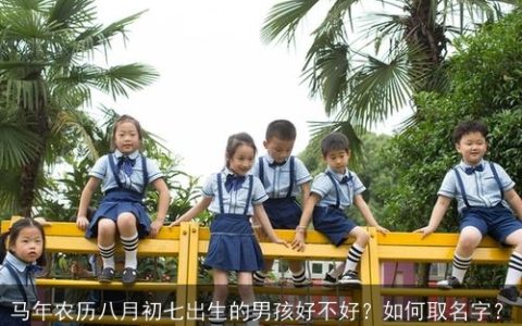 马年农历八月初七出生的男孩好不好？如何取名字？
