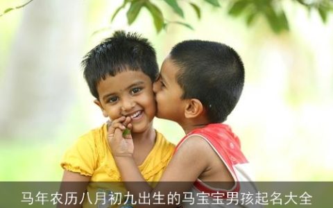 马年农历八月初九出生的马宝宝男孩起名大全