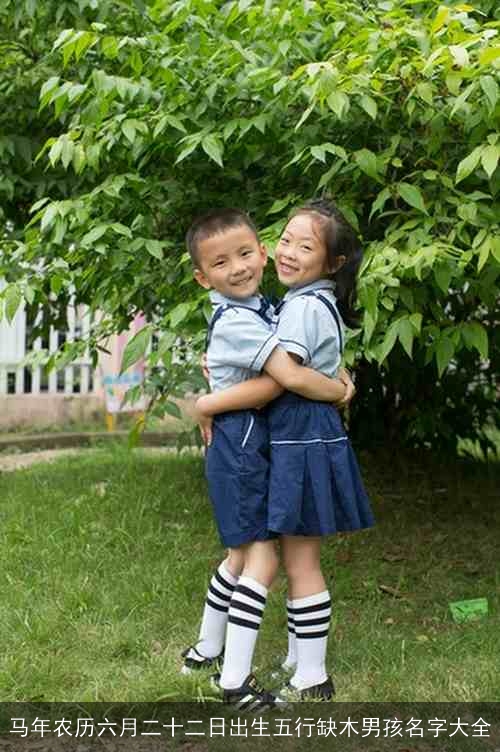 马年农历六月二十二日出生五行缺木男孩名字大全