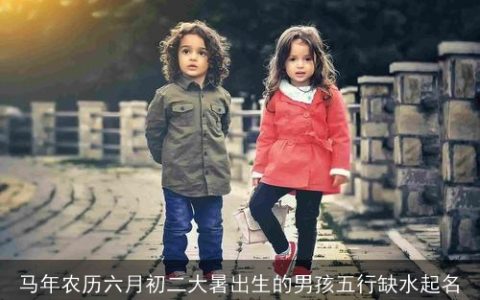 马年农历六月初二大暑出生的男孩五行缺水起名