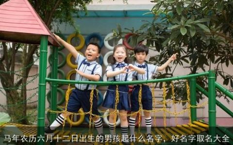 马年农历六月十二日出生的男孩起什么名字，好名字取名大全