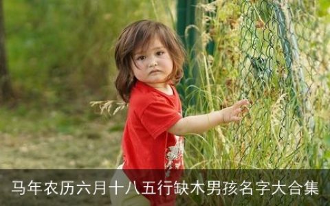 马年农历六月十八五行缺木男孩名字大合集