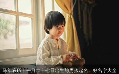 马年农历十一月二十七日出生的男孩起名，好名字大全