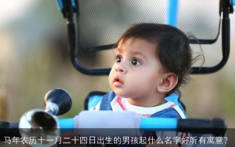 马年农历十一月二十四日出生的男孩起什么名字好听有寓意？