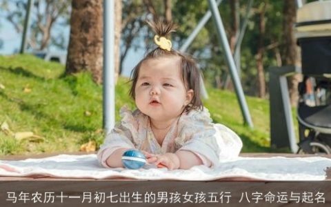 马年农历十一月初七出生的男孩女孩五行 八字命运与起名