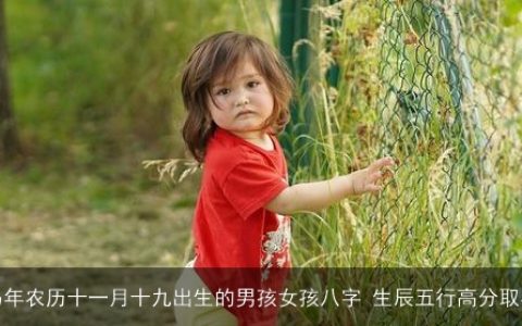马年农历十一月十九出生的男孩女孩八字 生辰五行高分取名