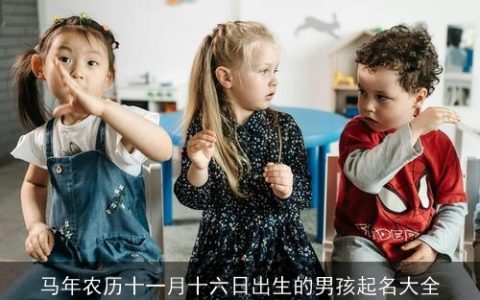 马年农历十一月十六日出生的男孩起名大全