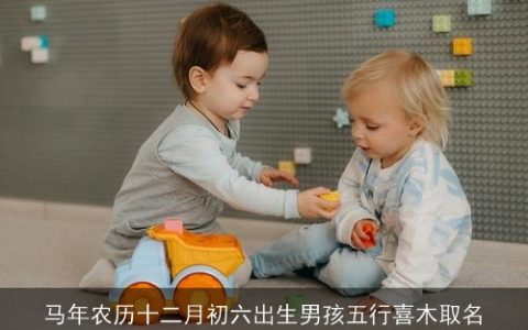 马年农历十二月初六出生男孩五行喜木取名